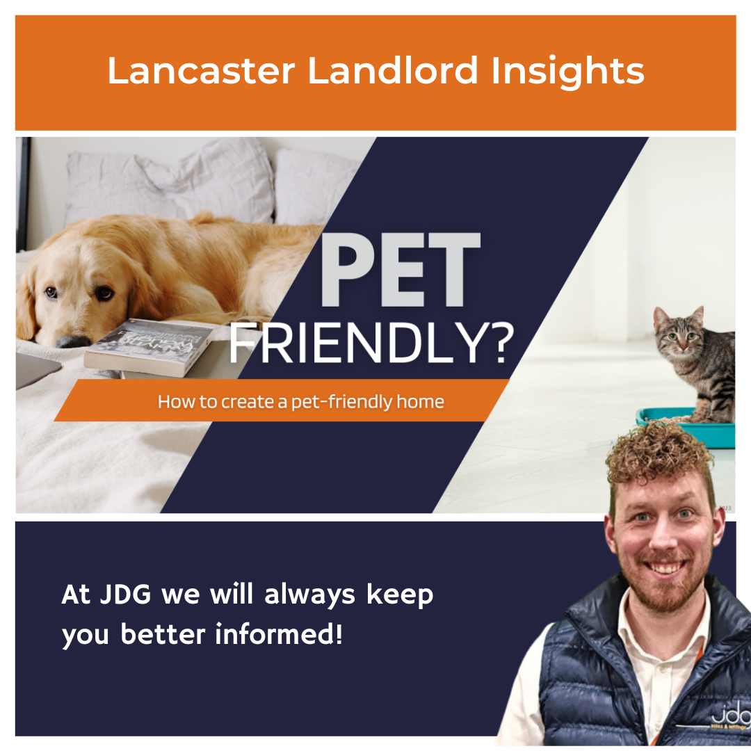 How to Be a Pet-Friendly Landlord in Lancaster and Morecambe