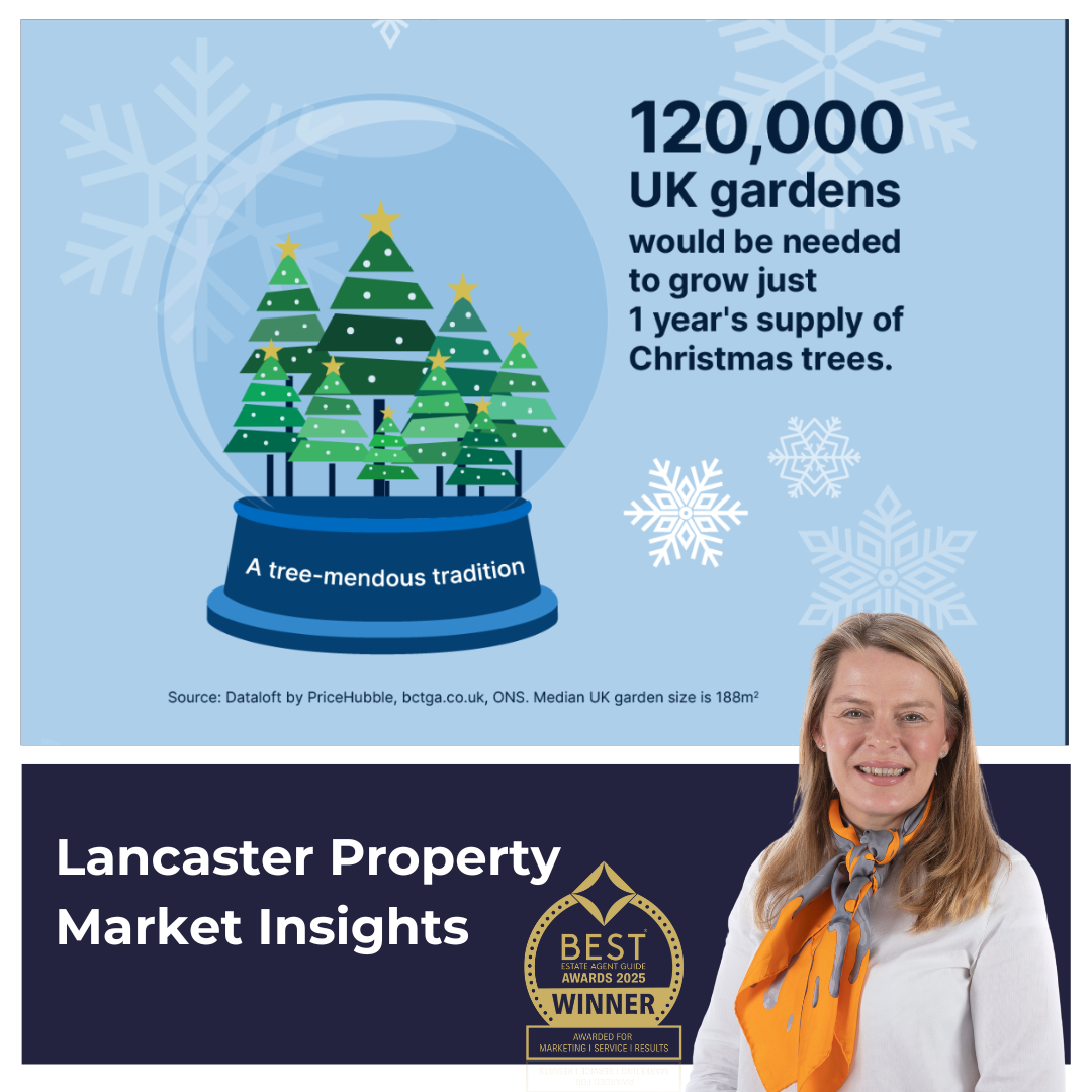 How Many Gardens Would It Take to Grow the Nation’s Christmas Trees?